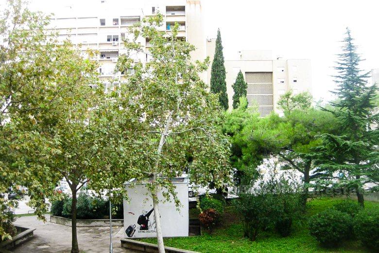 Apartament z 1 sypialnią