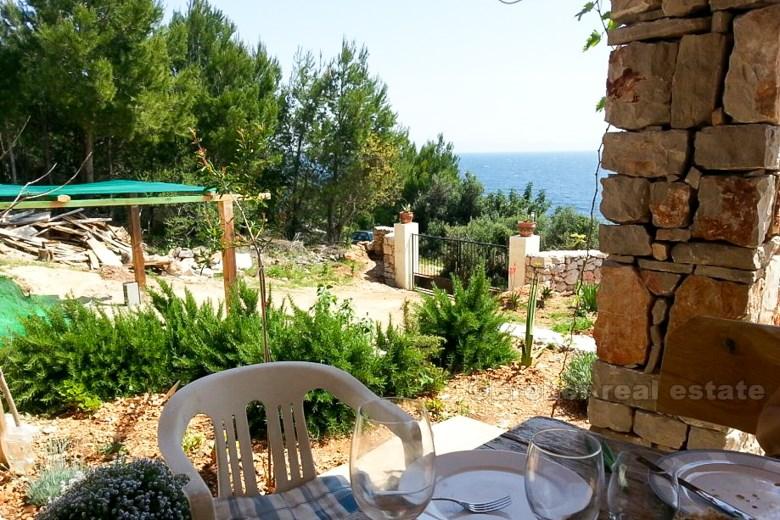 The property above the exotic beach