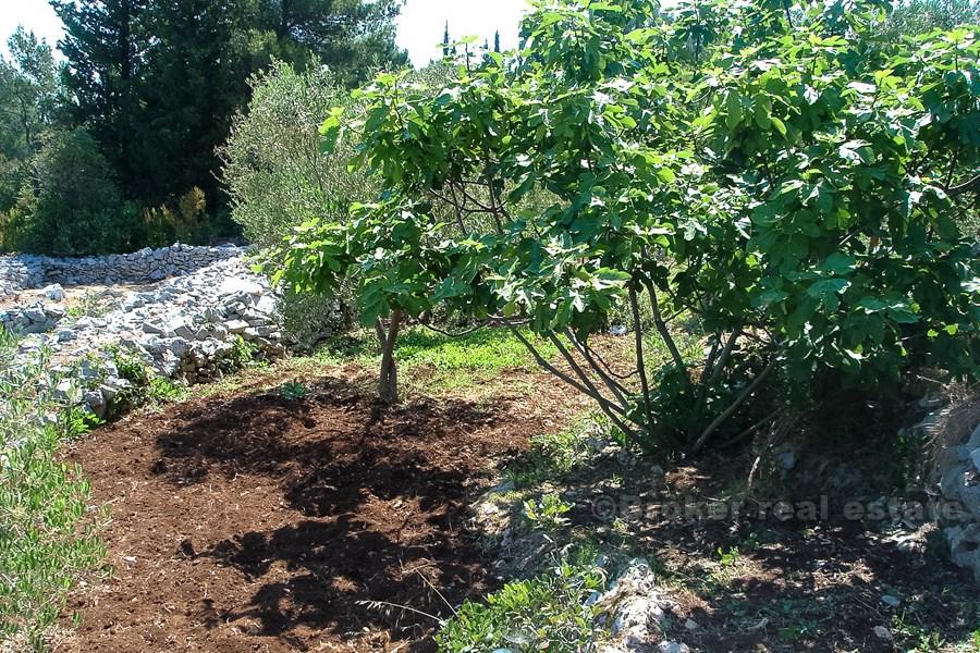 Жилье в тихом месте, на продажу