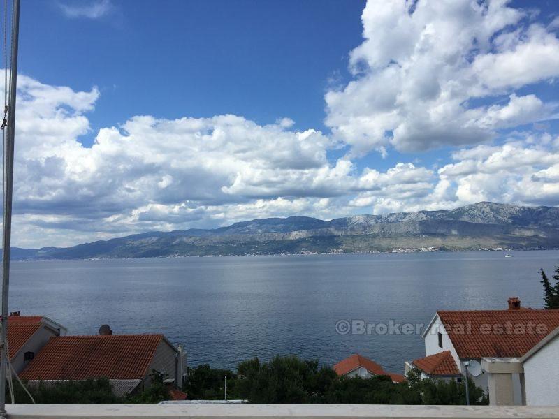 Piękny wąż z dużym ogrodem