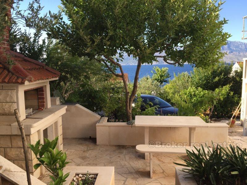 Krásná hadice s velkou zahradou