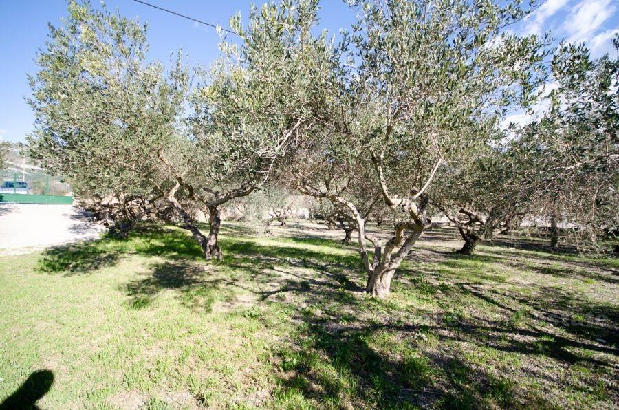 House with large building land plot, for sale