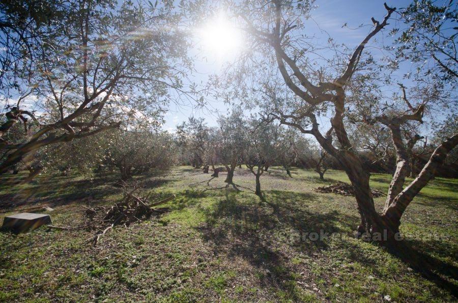 Hus med stor byggegrend tomt, til salgs