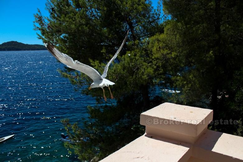 Bella casa / villa in riva al mare