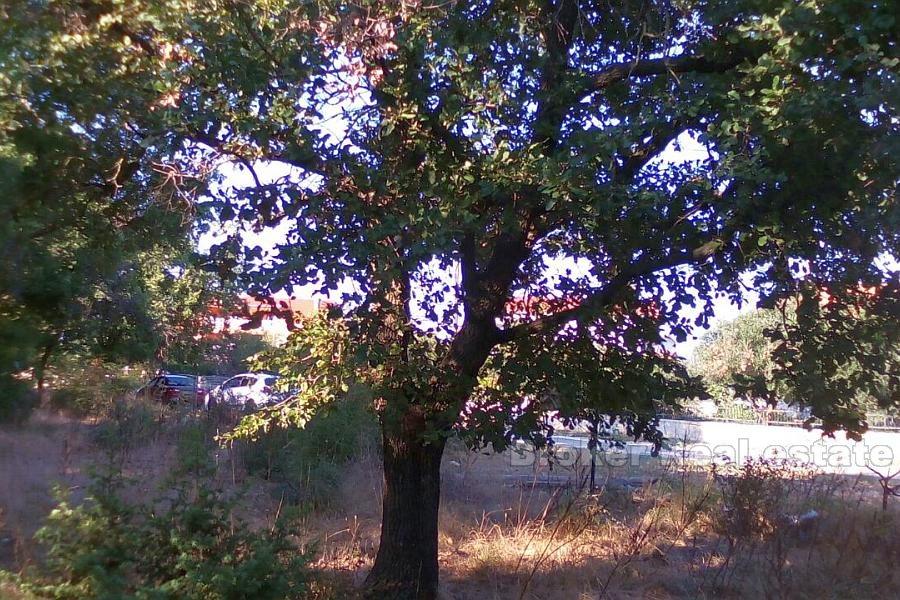 Budowanie działka w samym centrum miasta, na sprzedaż