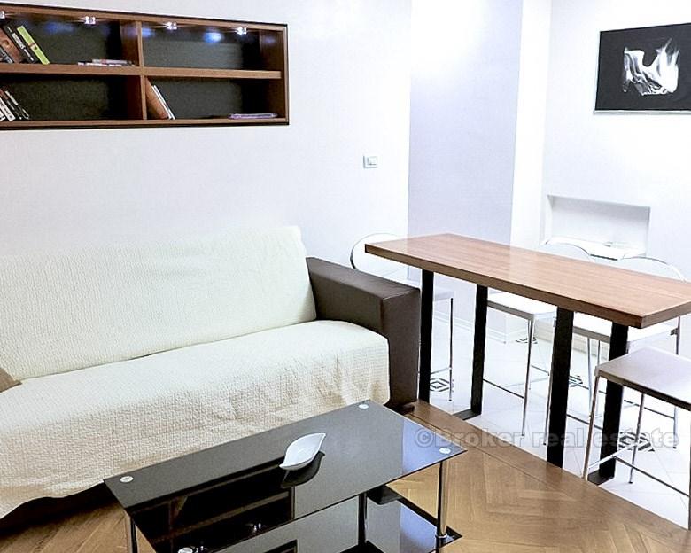 Appartement entièrement rénové d'une chambre, à louer