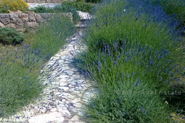 Nydelig leilighet i første etasje, til salgs