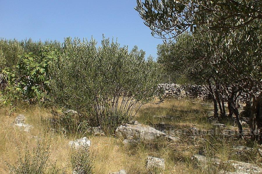 Stavební pozemek 493m2, k prodeji