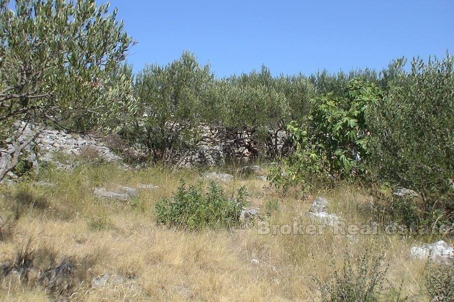 Stavební pozemek 493m2, k prodeji