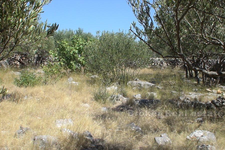 Stavební pozemek 493m2, k prodeji