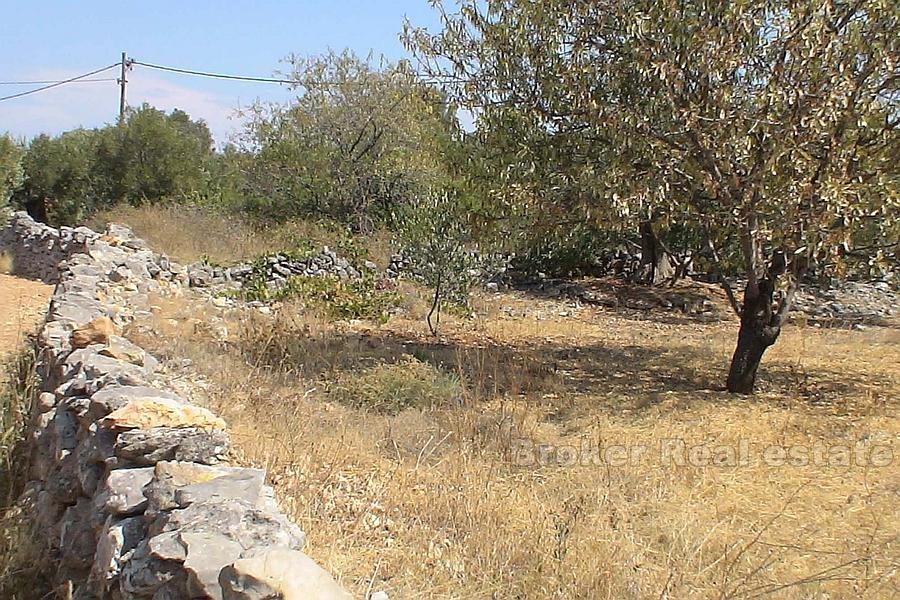 Building land with ruin, for sale