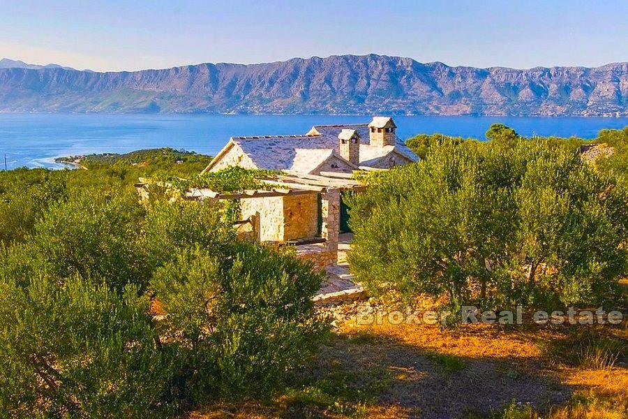 Maison en pierre avec oliveraie et vue mer