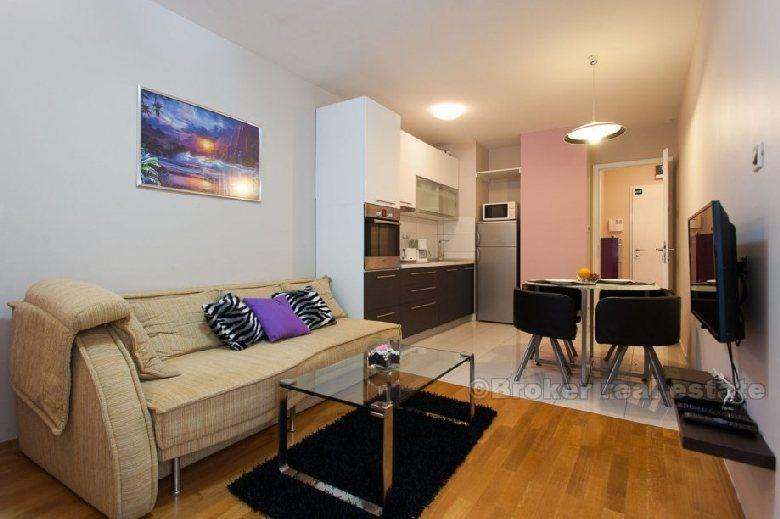 Modern one bedroom apartment, district Zenta, rent for a short period