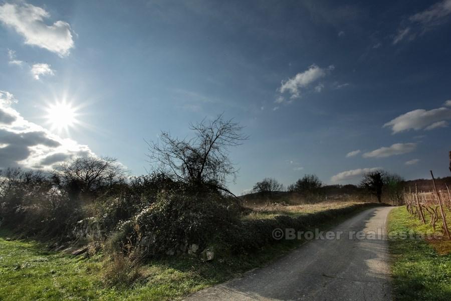 Stavební pozemek na Istrii, o celkové výměře 13 861 m2, k prodeji.