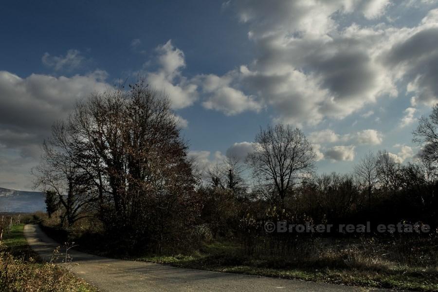 Terrain à bâtir en Istrie, superficie totale 13,861m2, à vendre.