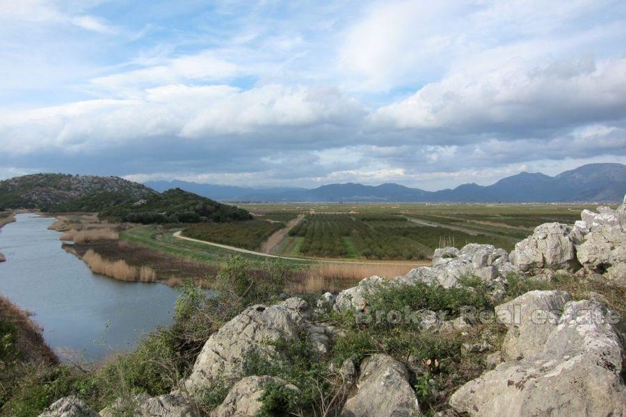Stary dom z dużą gruntem, na sprzedaż