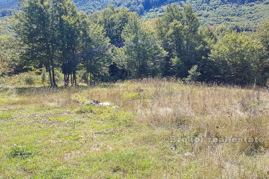 Property in a quiet location, for sale