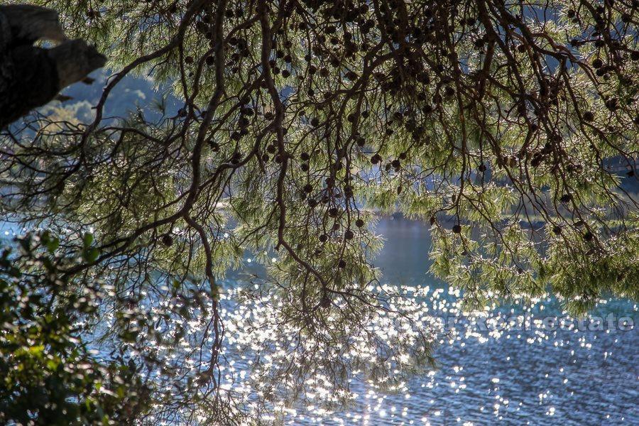 Строительный участок у моря, продается