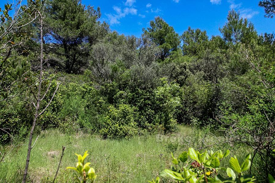 Building land plot by the sea, for sale