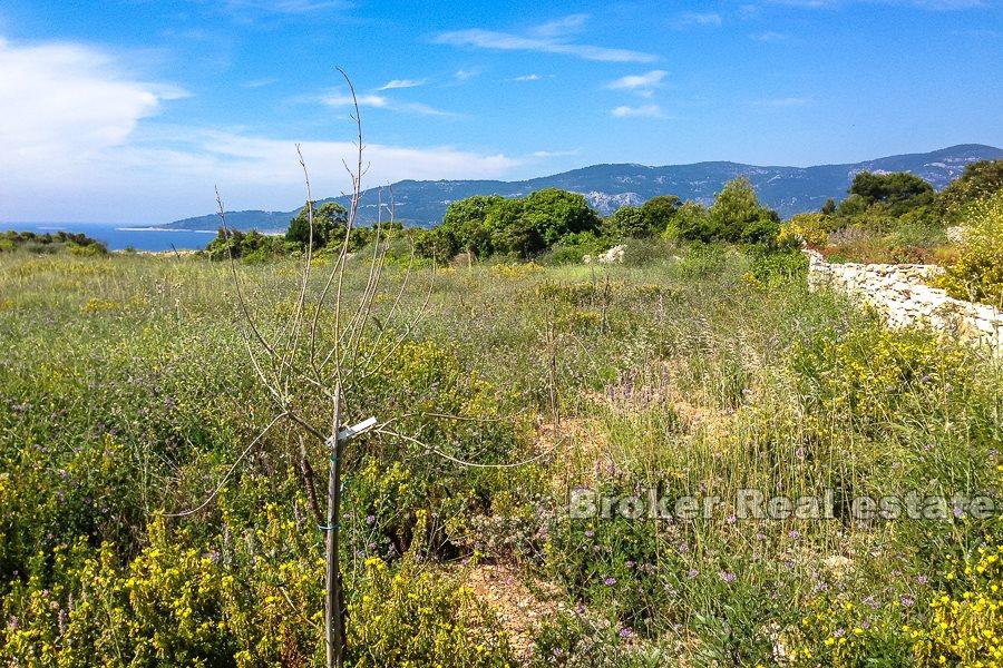 Agricultural land by the sea with ruin, seafront