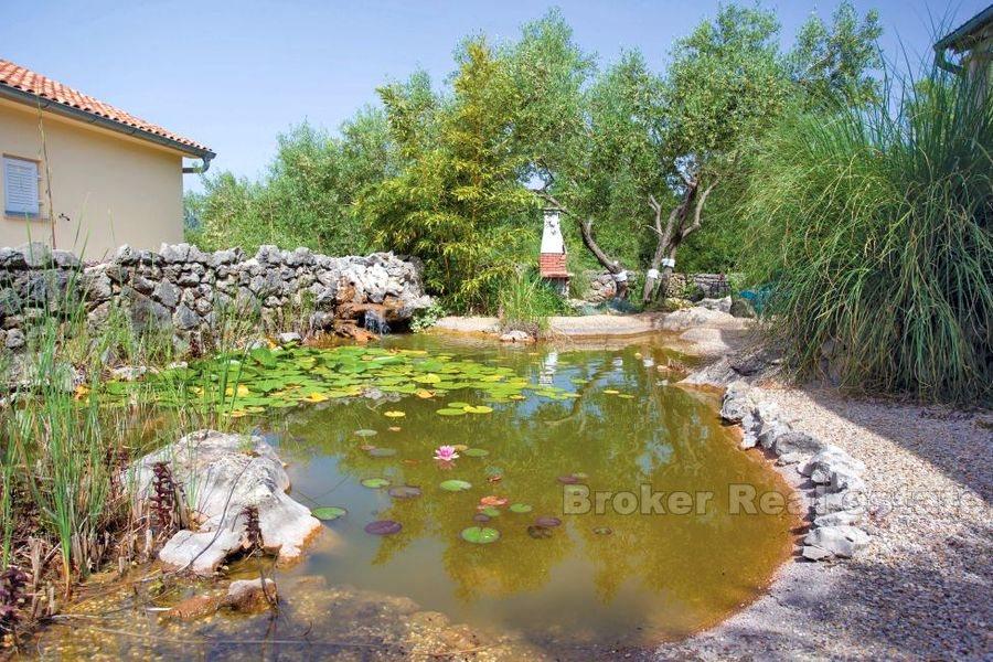 Dom w spokojnej okolicy