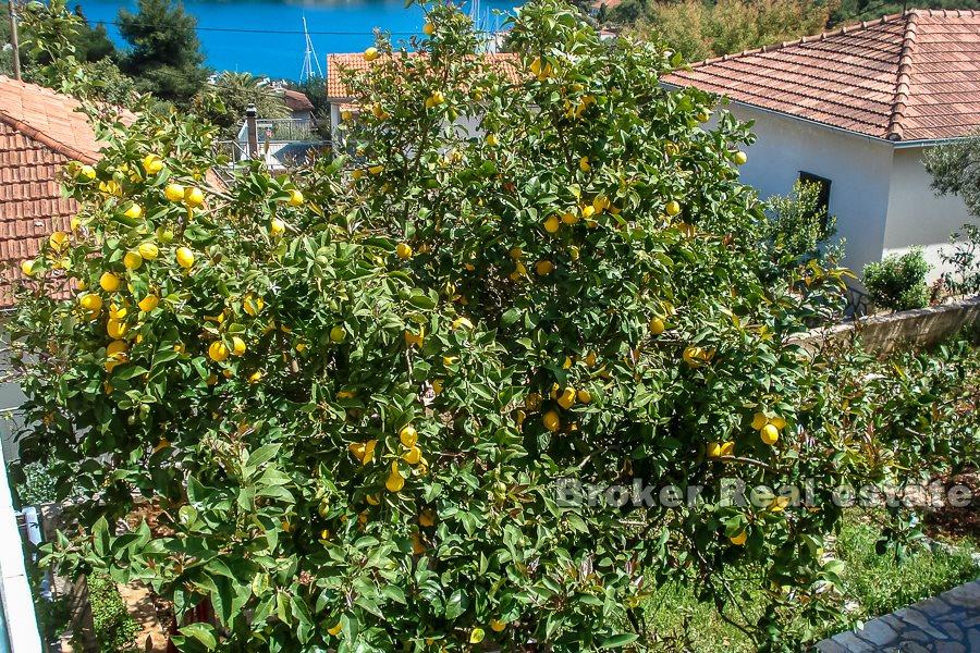 Wolnostojący dwupiętrowy dom na sprzedaż