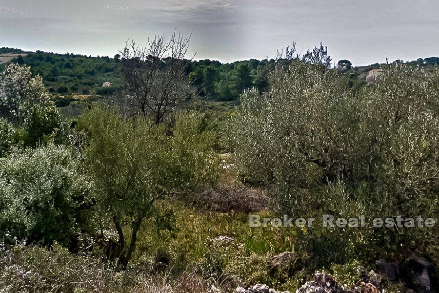 Dvojna kuća i poljoprivredno zemljište, na prodaju