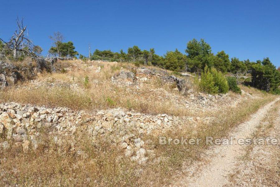 Terrain agricole en bord de mer