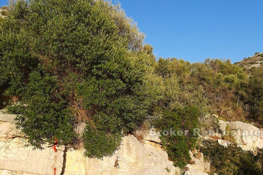 Stavební pozemek s výhledem na moře