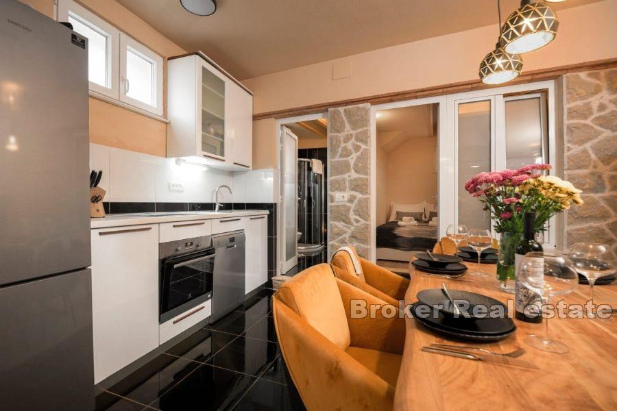 Duplex apartment with yard, Center