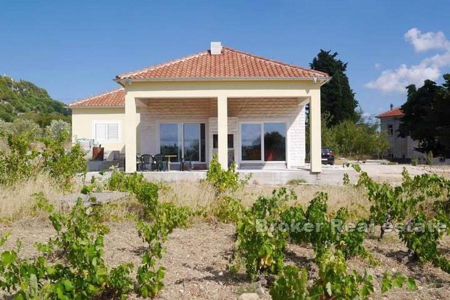 Family single-storey house