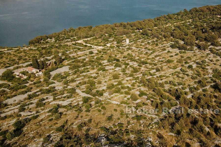Duży ziemi z ruin i widokiem na morze