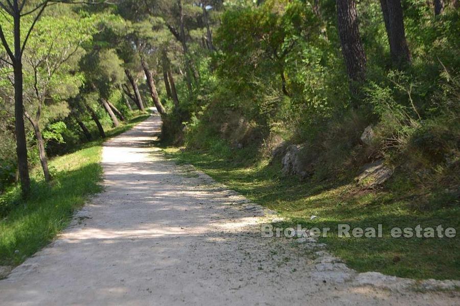 Building land with a semi-detached house project