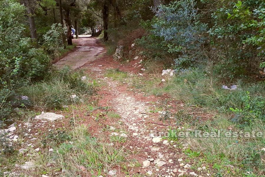 Building land with a semi-detached house project