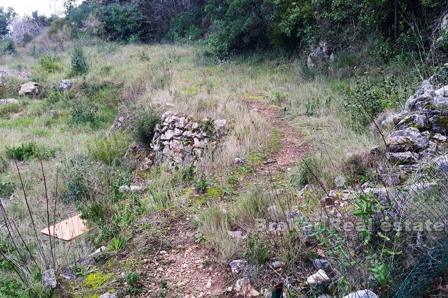 Building land with a semi-detached house project