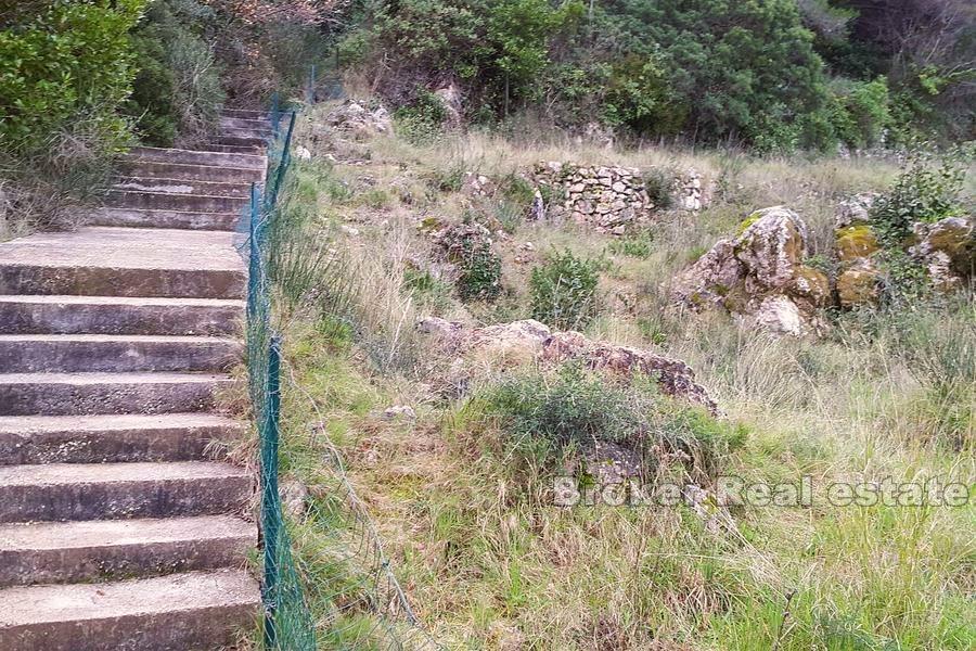 Building land with a semi-detached house project