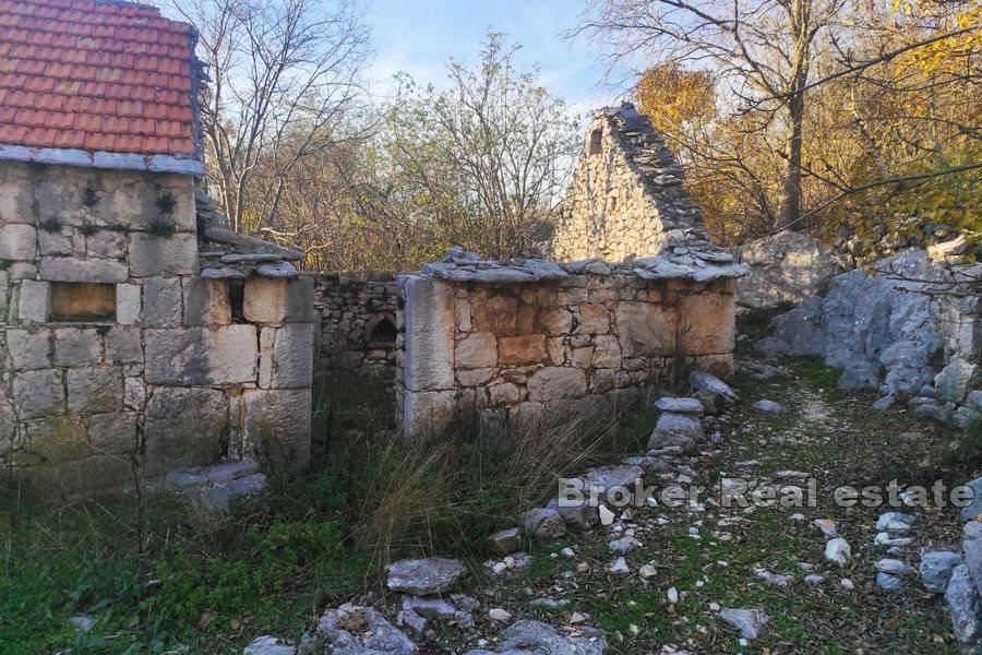 Complexe avec maisons dalmates