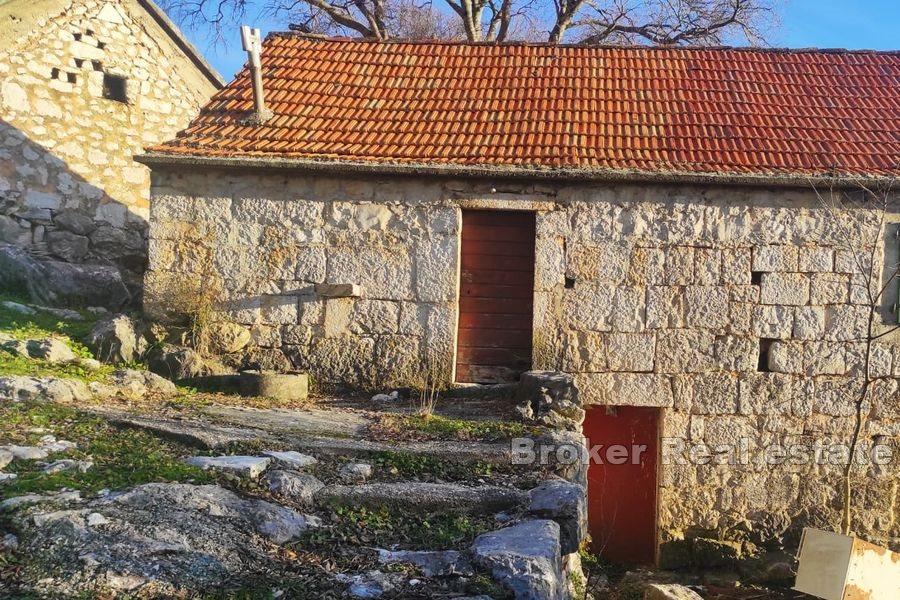 Kompleks med dalmatiske hus