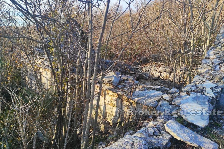 Kompleks sa dalmatinskim kućicama