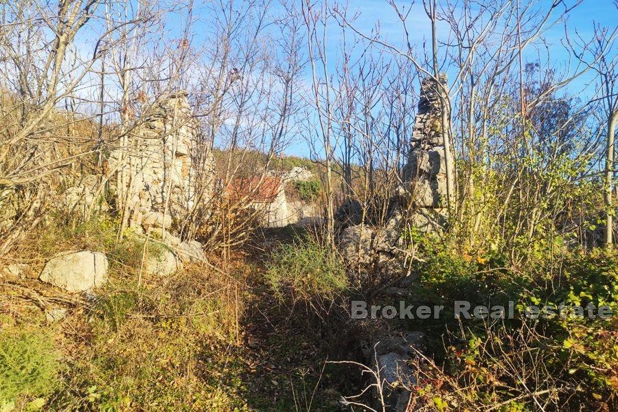 Komplex s dalmatskými domy