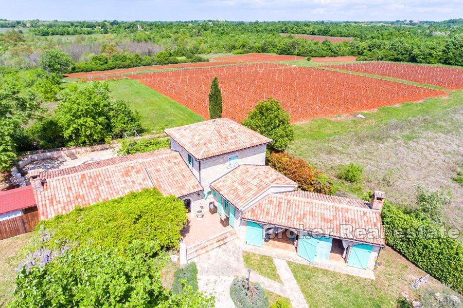 Stone house with pool