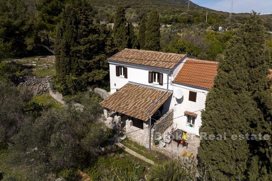 Modern semi-detached house