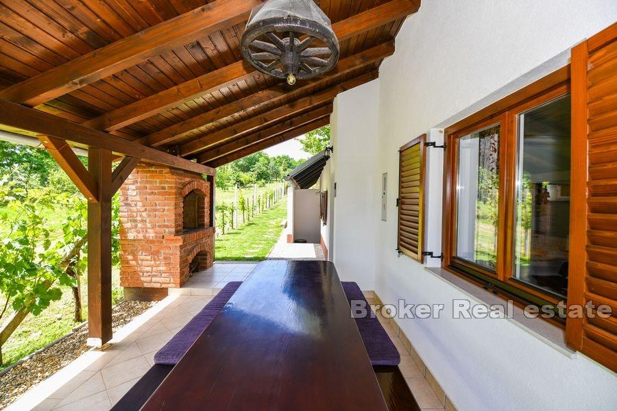 Casa con vigneto