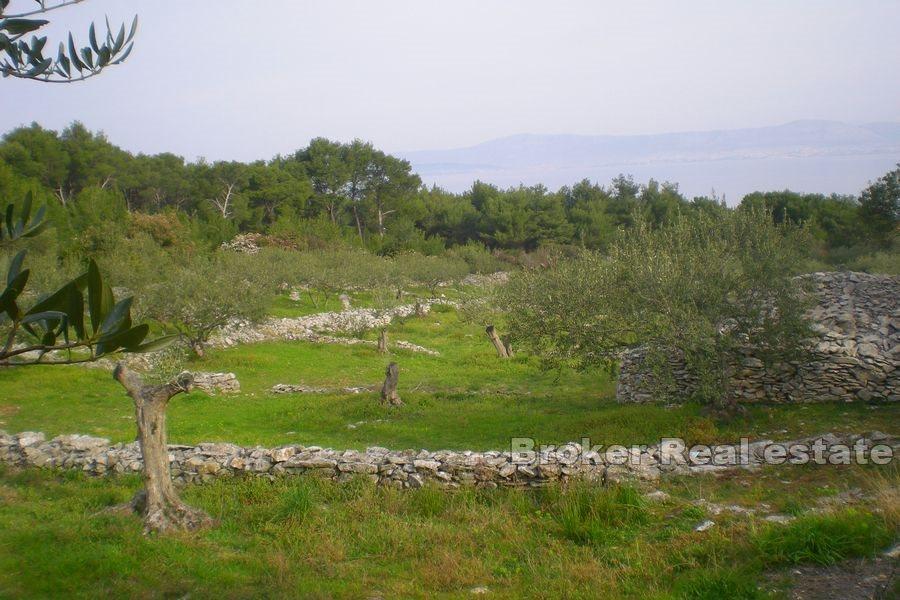 Byggnadsmark med öppen havsutsikt