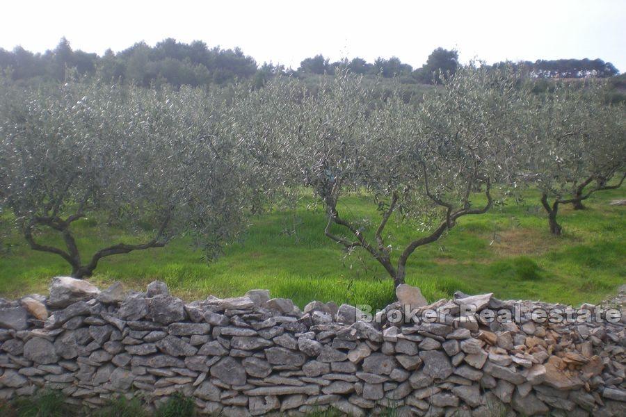 Baugrundstück mit offenem Meerblick