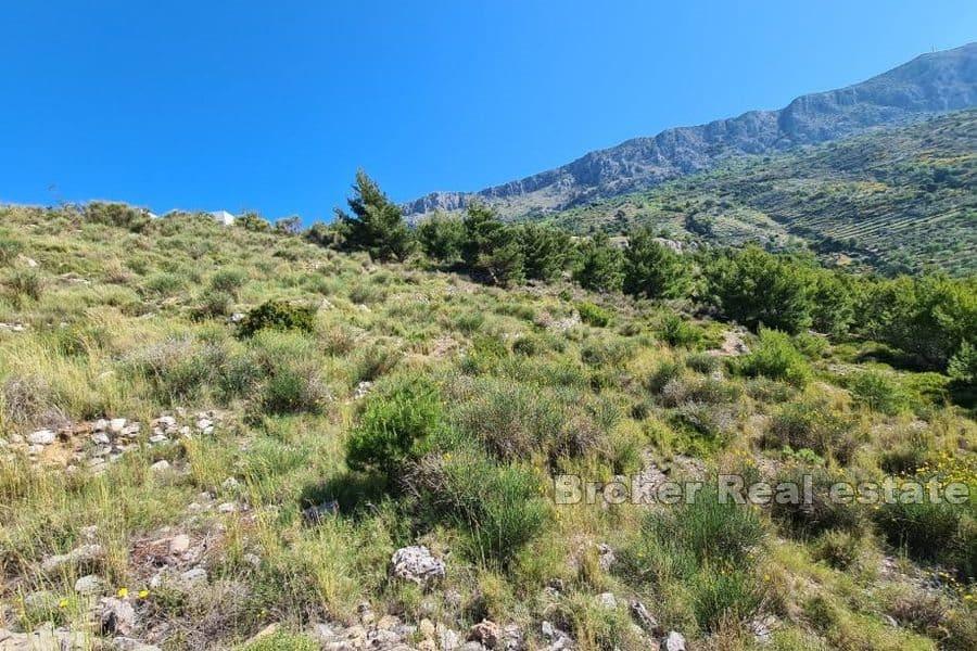Terrain constructible avec vue dégagée mer