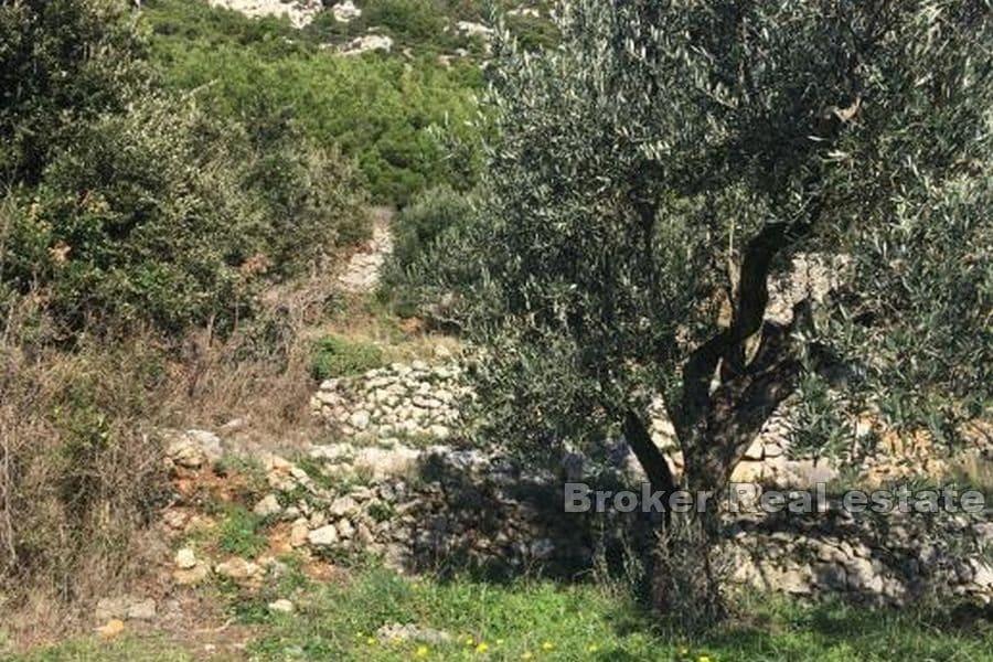 Stavební pozemek s výhledem na moře