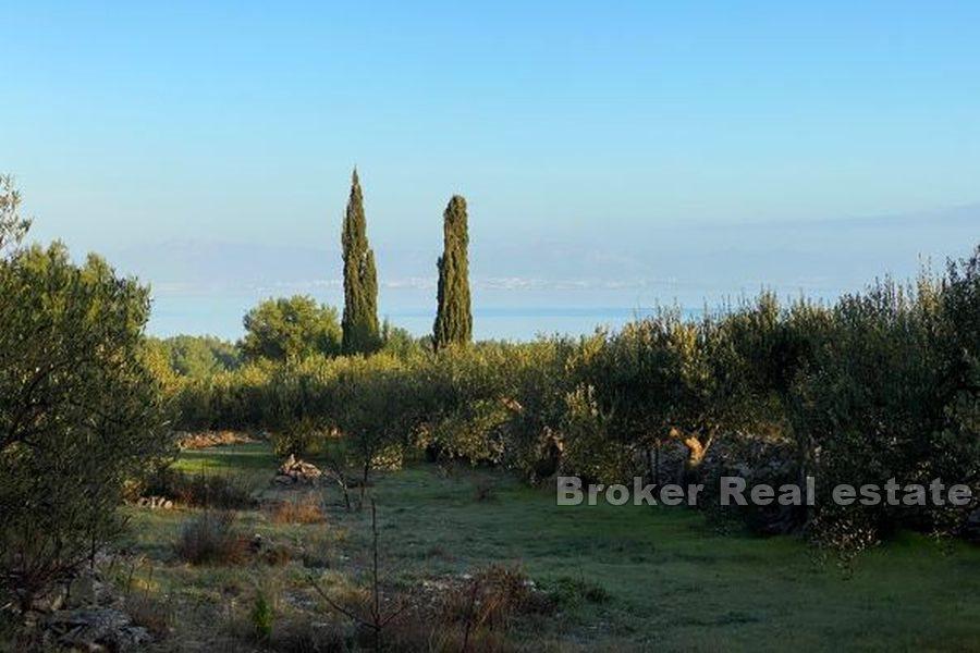 Terrain agricole avec vue mer