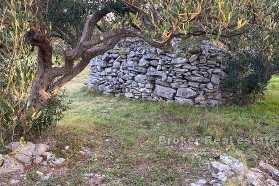 Poljoprivredno zemljište s pogledom na more