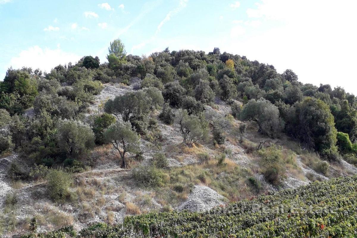 Grunt rolny z możliwością zabudowy